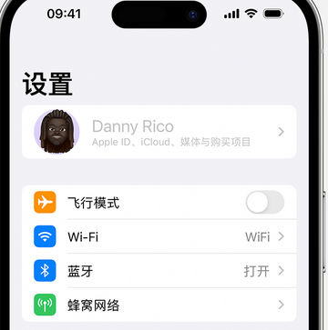 科尔沁右翼中appleID维修服务iPhone设置中Apple ID显示为灰色无法使用