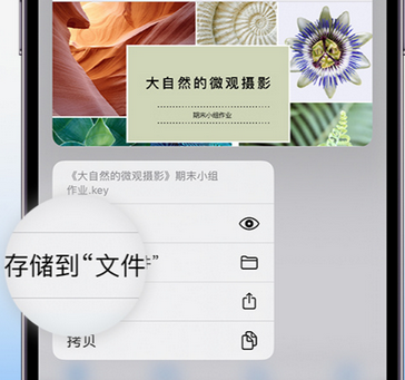 科尔沁右翼中apple维修中心分享iPhone文件应用中存储和找到下载文件