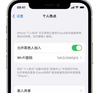 科尔沁右翼中apple服务站点分享iPhone上个人热点丢失了怎么办