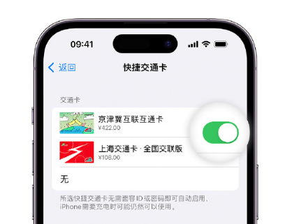 科尔沁右翼中apple维修点分享iPhone上更换Apple Pay快捷交通卡手绘卡面 