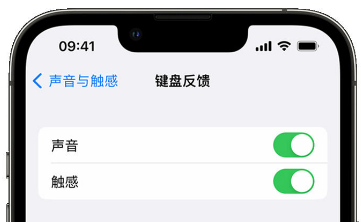 科尔沁右翼中苹果手机维修分享iPhone 14触感键盘使用方法 