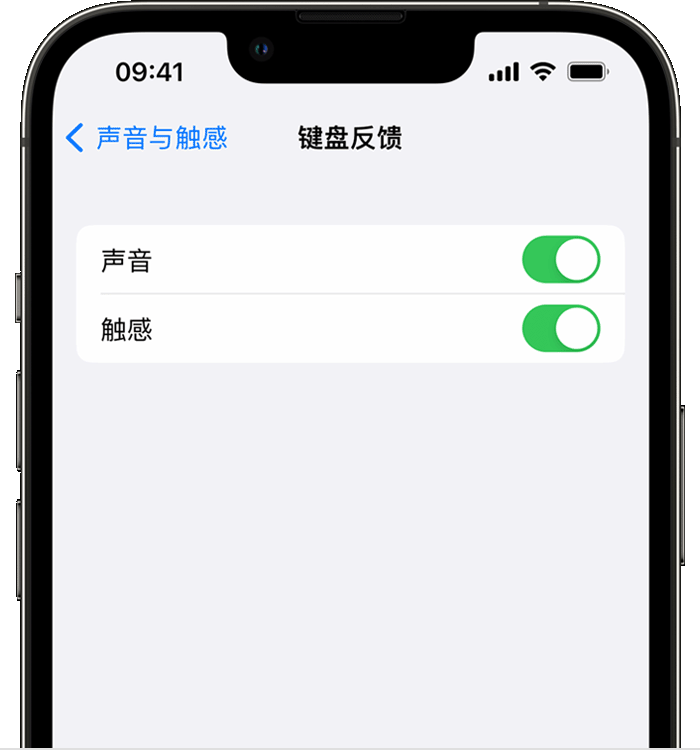 科尔沁右翼中苹果14维修店分享如何在 iPhone 14 机型中使用触感键盘 