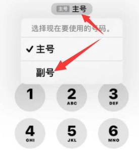 科尔沁右翼中苹果14维修店分享iPhone 14 Pro Max使用副卡打电话的方法 