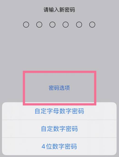 科尔沁右翼中苹果14维修分享iPhone 14plus设置密码的方法 