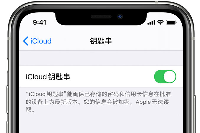 科尔沁右翼中苹果手机维修分享在 iPhone 上开启 iCloud 钥匙串之后会储存哪些信息 