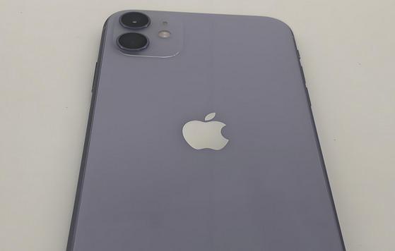 科尔沁右翼中苹果11系统维修分享iPhone11手机系统崩溃无法开机如何解决 